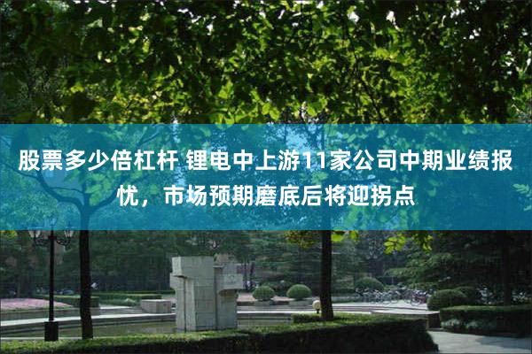 股票多少倍杠杆 锂电中上游11家公司中期业绩报忧，市场预期磨底后将迎拐点