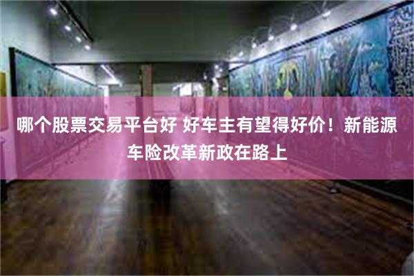 哪个股票交易平台好 好车主有望得好价！新能源车险改革新政在路上