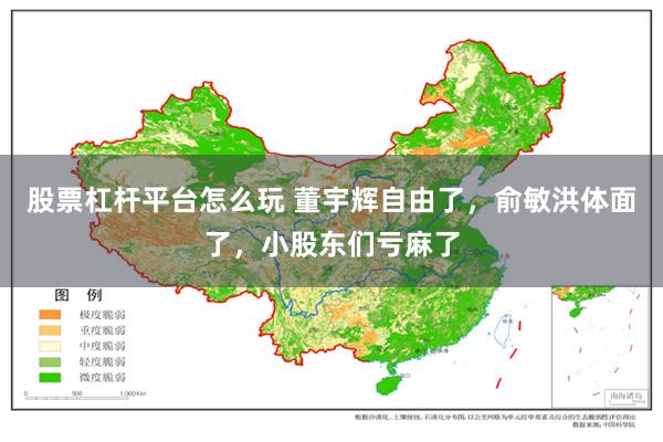 股票杠杆平台怎么玩 董宇辉自由了，俞敏洪体面了，小股东们亏麻了