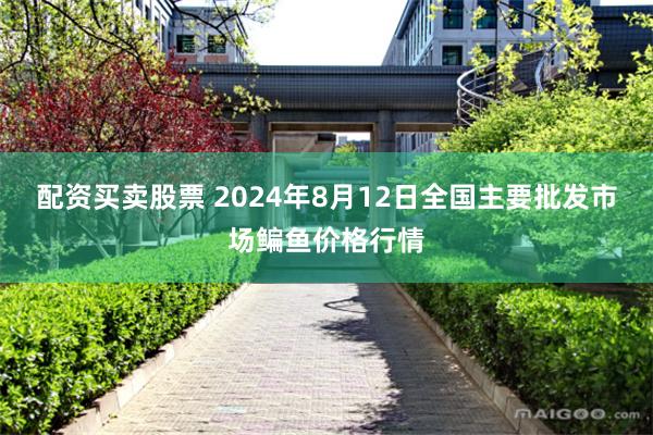 配资买卖股票 2024年8月12日全国主要批发市场鳊鱼价格行情