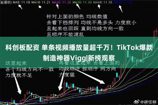 科创板配资 单条视频播放量超千万！TikTok爆款制造神器Vigg|新榜观察