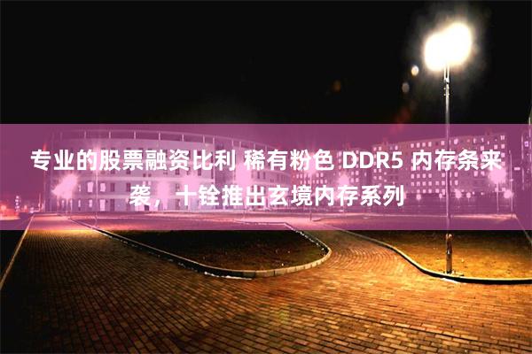 专业的股票融资比利 稀有粉色 DDR5 内存条来袭，十铨推出玄境内存系列