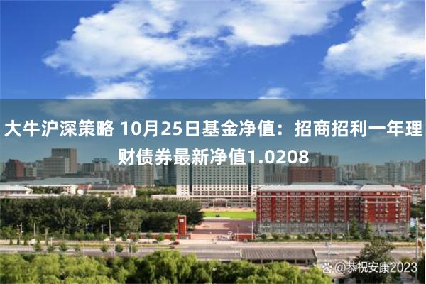 大牛沪深策略 10月25日基金净值：招商招利一年理财债券最新净值1.0208