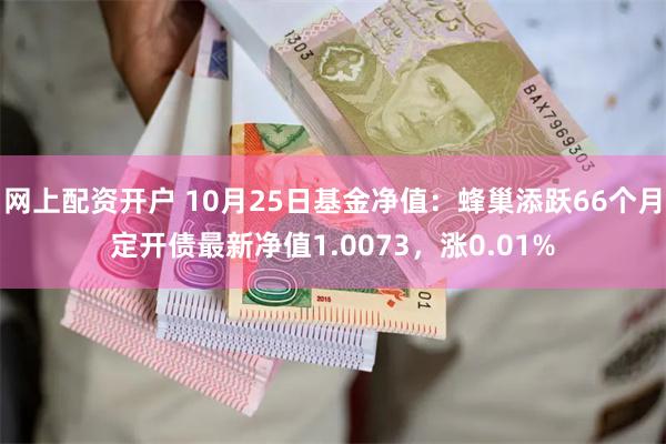 网上配资开户 10月25日基金净值：蜂巢添跃66个月定开债最新净值1.0073，涨0.01%