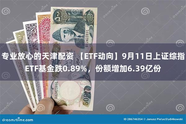 专业放心的天津配资 【ETF动向】9月11日上证综指ETF基金跌0.89%，份额增加6.39亿份