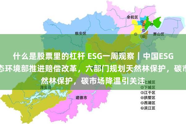 什么是股票里的杠杆 ESG一周观察｜中国ESG政策加码：生态环境部推进赔偿改革，六部门规划天然林保护，碳市场降温引关注