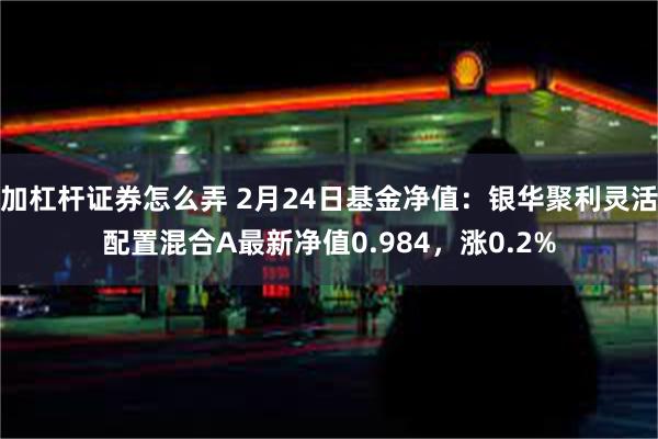 加杠杆证券怎么弄 2月24日基金净值：银华聚利灵活配置混合A最新净值0.984，涨0.2%